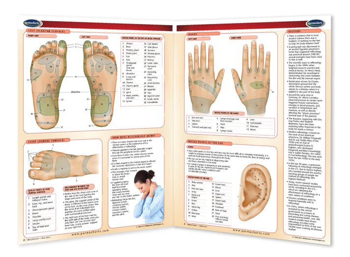 Reflexology Guide & Maps (Digital Edition)