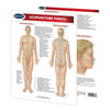 Acupuncture Points Chart (Digital Edition)