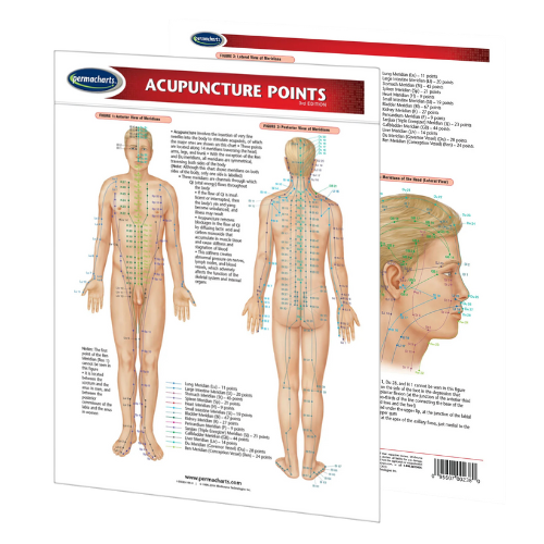 Acupuncture Points Chart (Digital Edition)